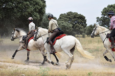 Spain-Central Spain-Transhumance Trails in Extremadura